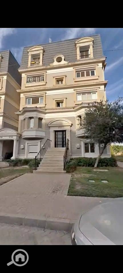 5 569040255_10239840293604581_8019962270703405144_n. jpg