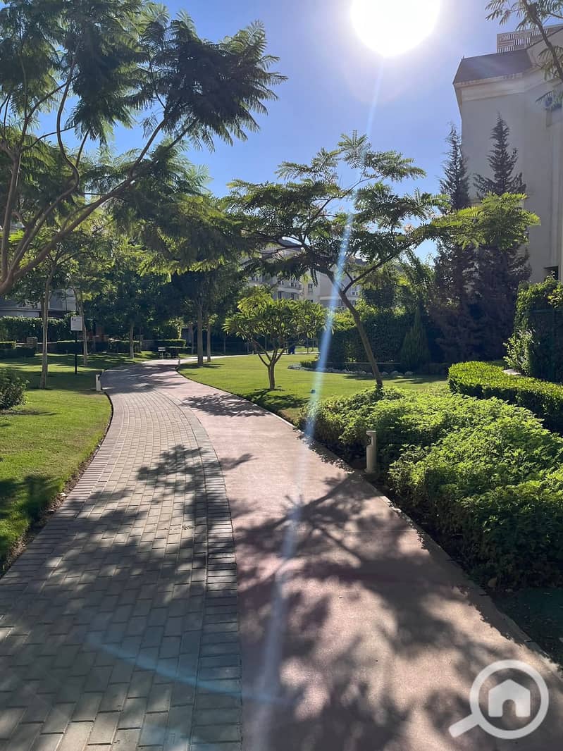 6 573006063_24808974185438844_8759417246136486783_n. jpg