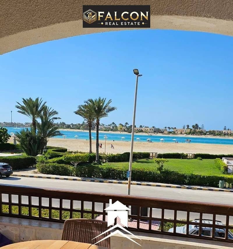 8 557264933_2952082498295326_4725199623944258320_n. jpg