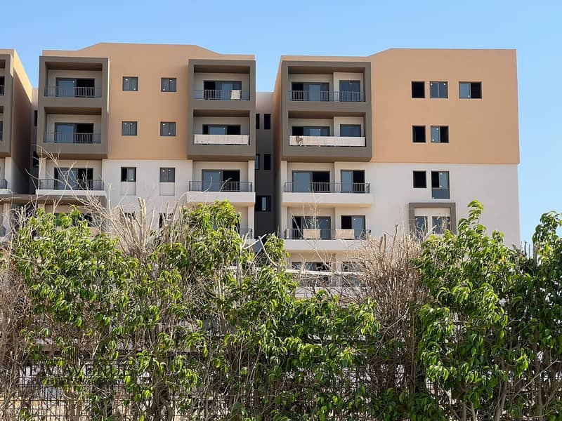 2 WhatsApp Image 2025-10-29 at 14.35. 53_18057f22. jpg