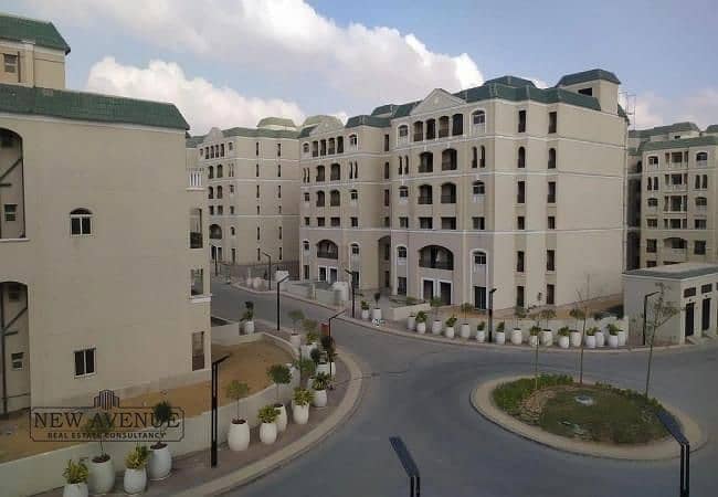 5 WhatsApp Image 2025-10-26 at 17.48. 26_e4cf328f. jpg