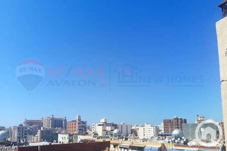 3 Bedroom Flat for Sale in Zezenia, Alexandria - 1. jpg