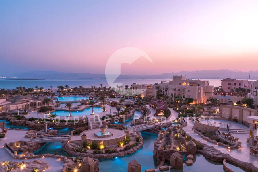 8 d8b9667f9f7b-74676460_4K. jpg