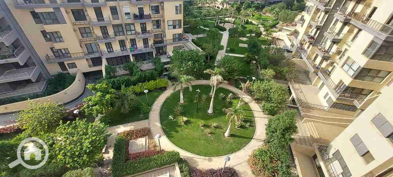 1000106873. jpg 1000106873. jpg