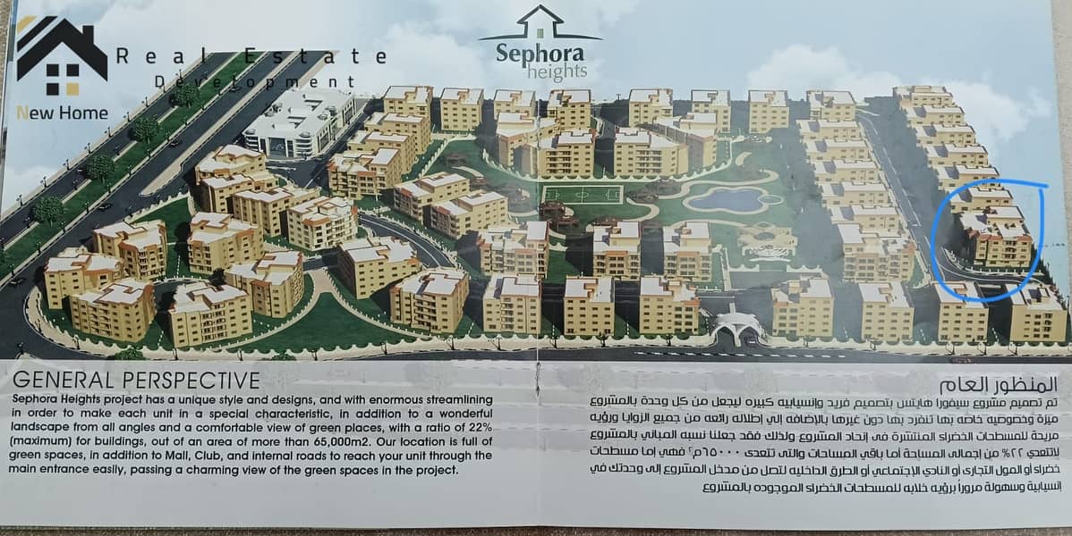 6 WhatsApp Image 2025-09-30 at 18.07. 27_a1c99770. jpg