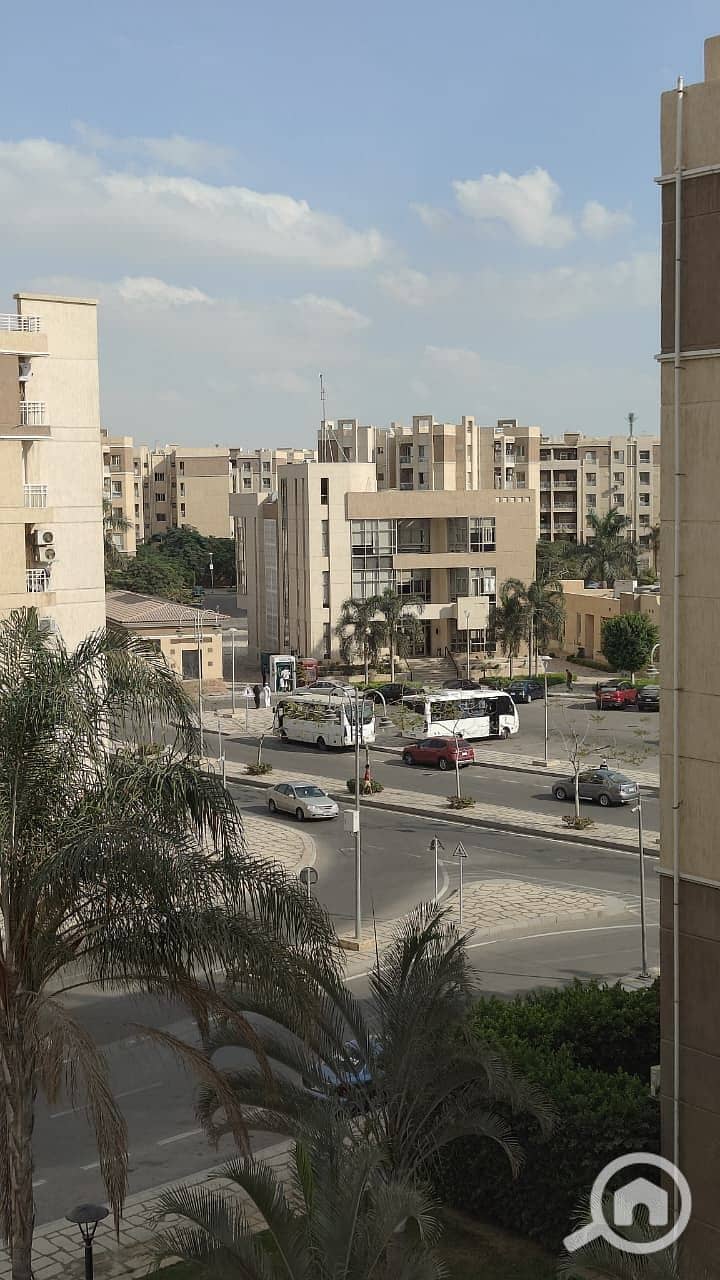 8 29752e0e-aa80-468d-a296-00f54068a880. jpg