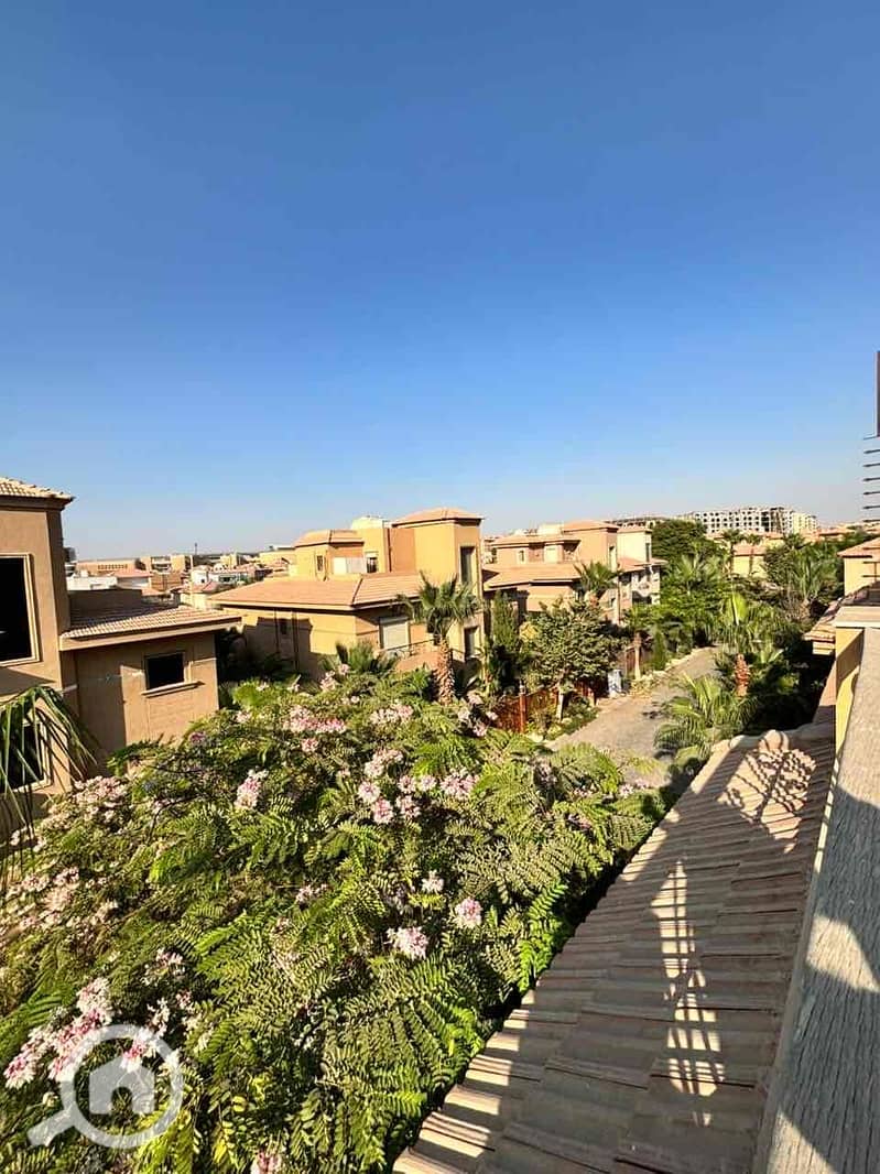 8 cb723e34-5b35-47f7-9177-3bbd7515feef. jpg