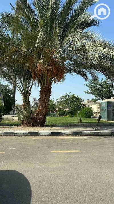 3 Bedroom Flat for Sale in New Cairo, Cairo - 1002555510. jpg