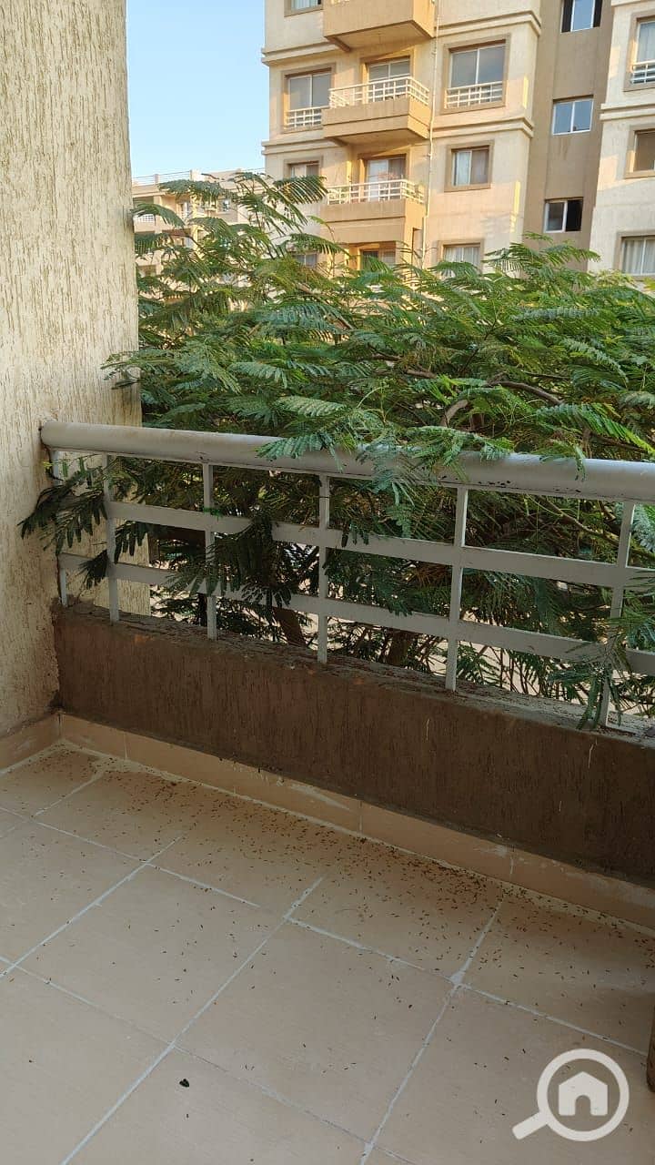 5 bd189c30-dedf-45c4-b4c9-035a5f5414e4. jpg