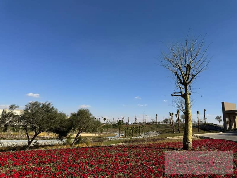 11 IMG-20250130-WA0549. jpg