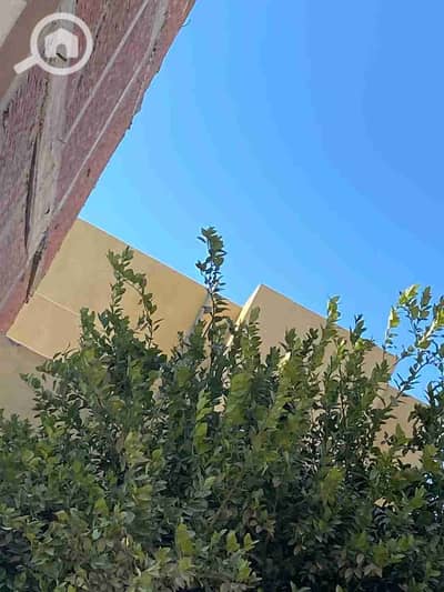 11 Bedroom Villa for Sale in Nasr City, Cairo - 1000016862. jpg