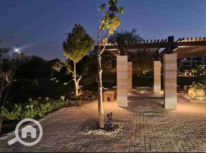 17 IMG_٢٠٢٥١٠٠٣_١٨٠٦٤٢. jpg