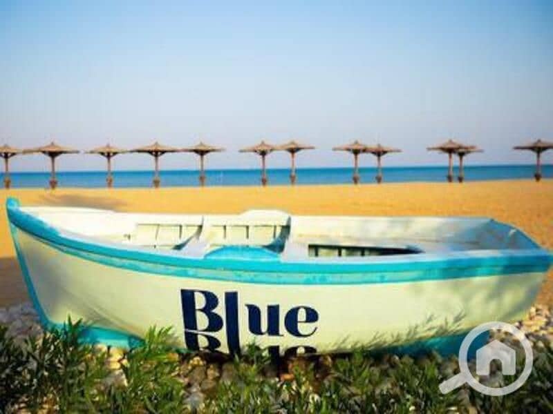 4 WhatsApp Image 2025-04-22 at 1.45. 31 PM. jpeg