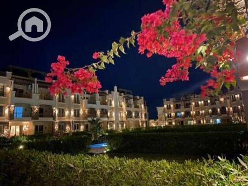 6 WhatsApp Image 2025-04-22 at 1.45. 36 PM (3). jpeg