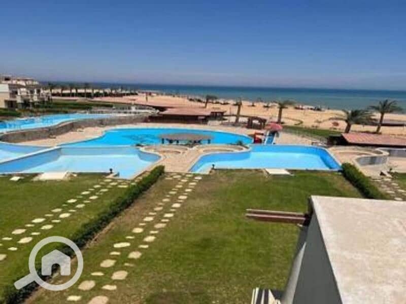 3 WhatsApp Image 2025-04-22 at 1.45. 34 PM (1). jpeg