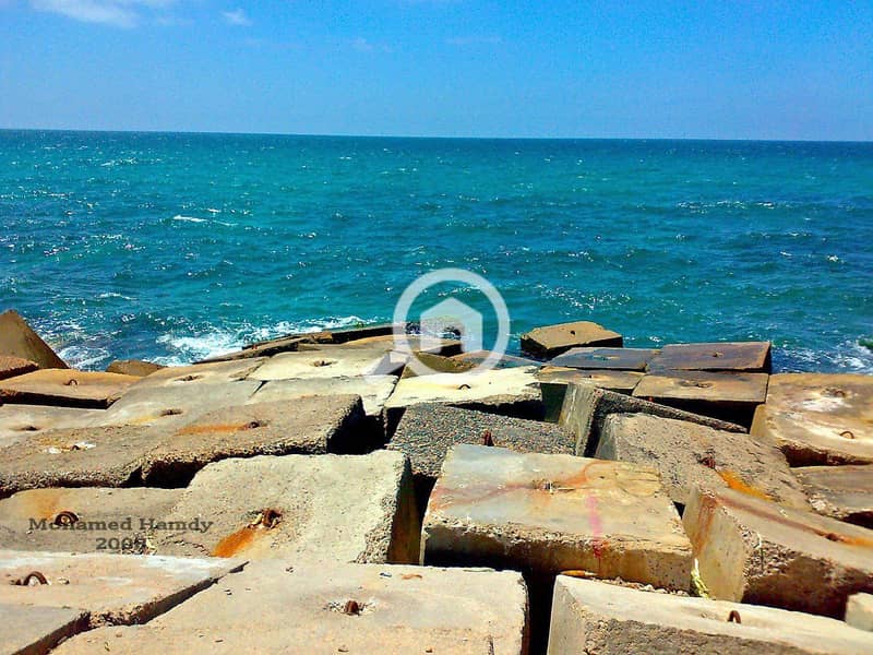 3 DXndM0wXkAEswGv. jpg