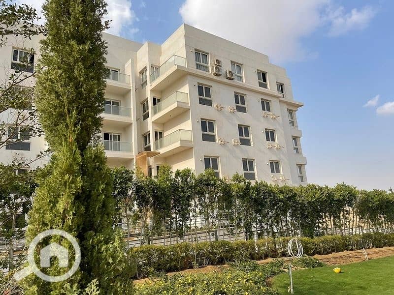 5 WhatsApp Image 2024-09-23 at 4.03. 11 PM. jpeg