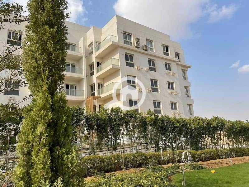 7 WhatsApp Image 2024-09-23 at 4.03. 11 PM. jpeg