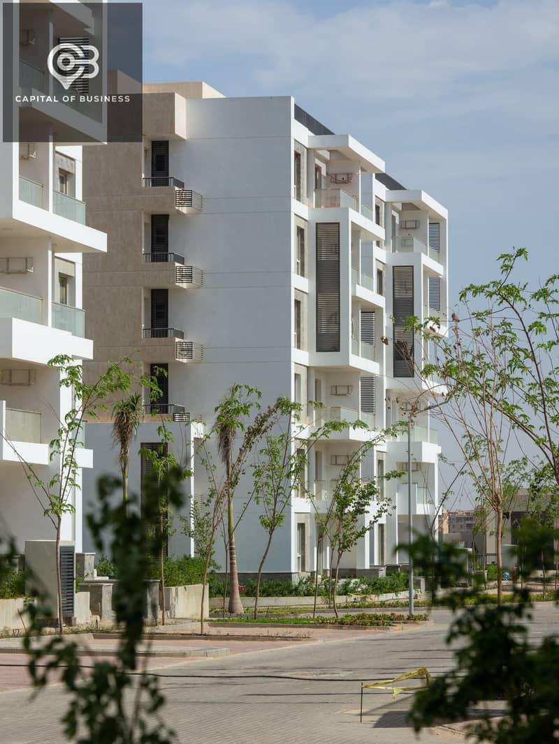 10 SingleShots-VJH_4969. jpg