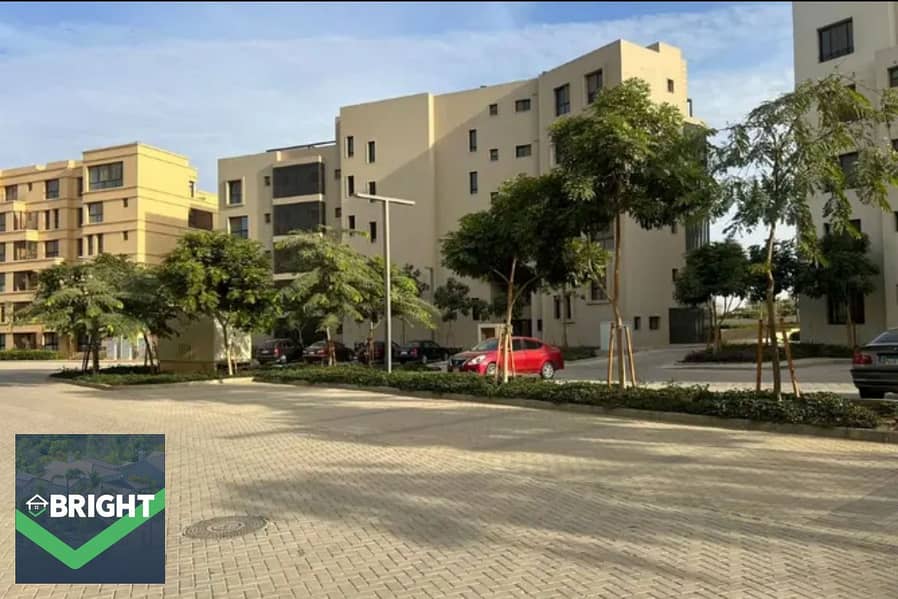 2 2b320bab-20bf-40c3-bfb6-138cc9d8dc3a. jpg