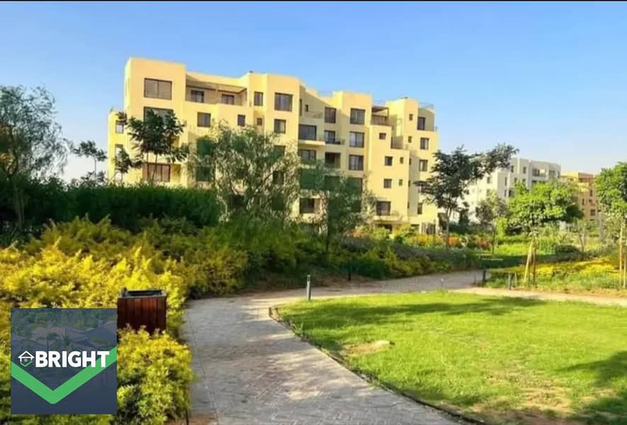 3 ae21e675-0aa0-44a5-baa2-8167b2d60c9c. jpg