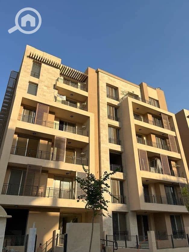 15 572873304_122248245848180918_6282801828464651481_n. jpg