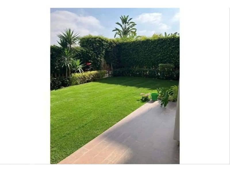 5 7017726-2ca60o. jpg