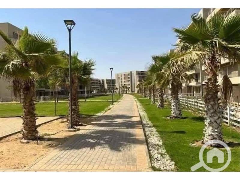 6 7017726-35da7o. jpg