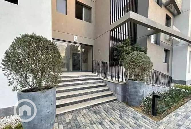 10 487824159_4014580392088342_6045910430340799823_n. jpg