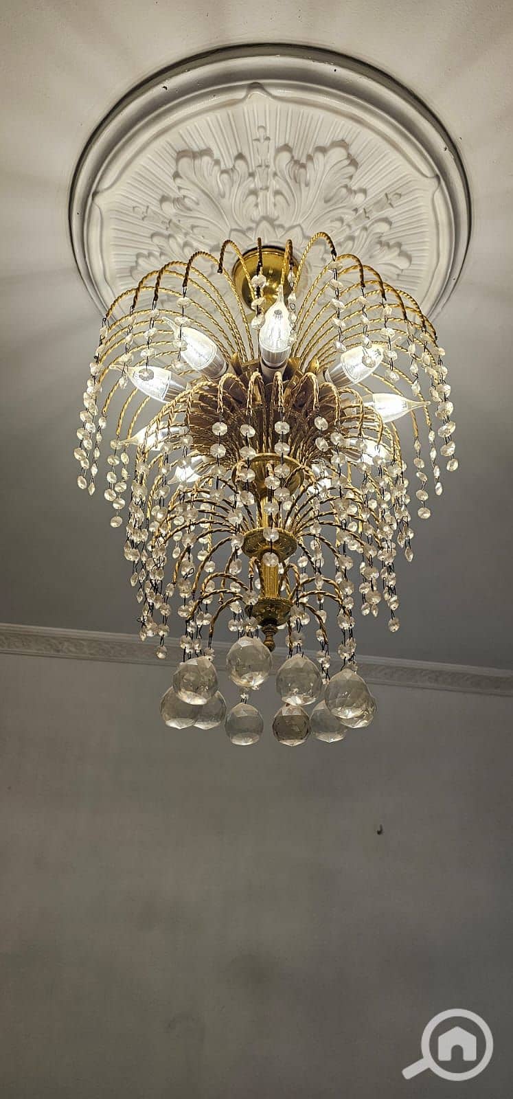 8 WhatsApp Image 2025-10-20 at 4.44. 29 PM (10). jpeg