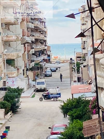 3 Bedroom Flat for Sale in Nakheel, Alexandria - IMG_9739. jpg 3 Bedroom Flat for Sale in Nakheel, Alexandria - IMG_9739. jpg