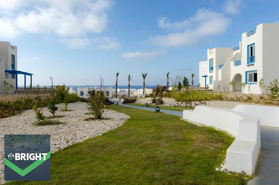 3 07df7838-3ab1-4527-9972-b86d0357f1e9. jpg