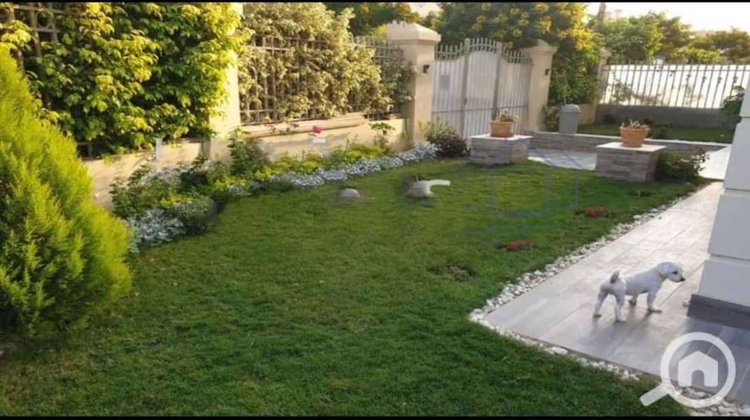 7 06a6fe84-03f2-46cb-96f6-d7999af0df79. jpg