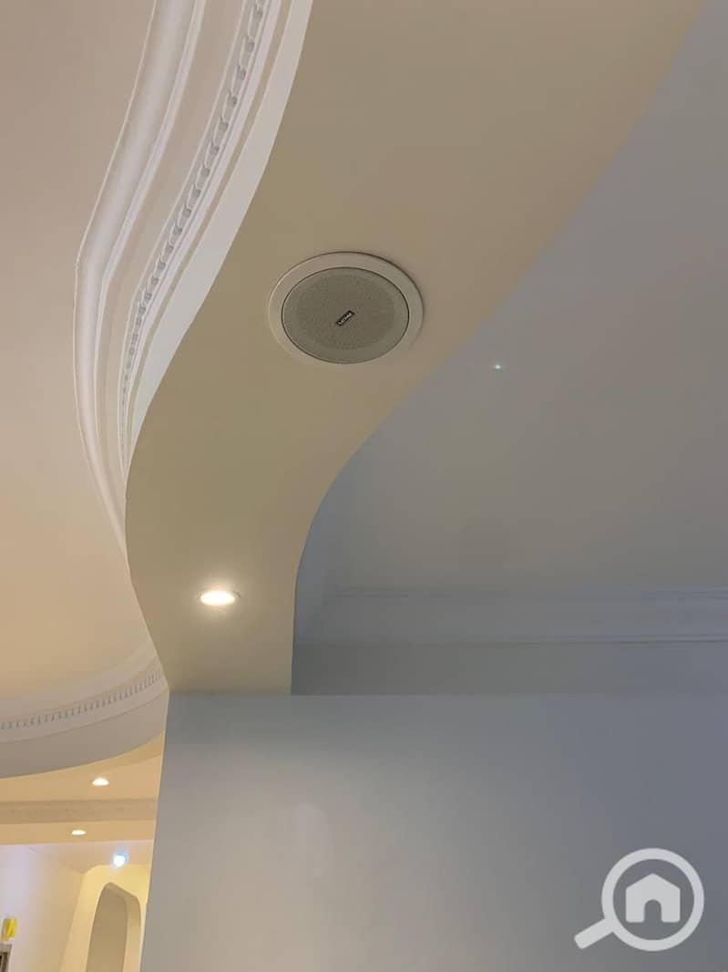 13 ed1993e8-dbca-461c-afd1-11265250540c. jpeg