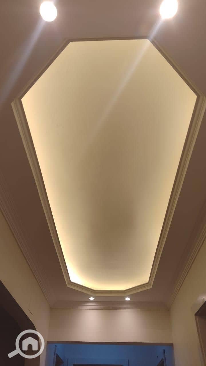 17 61d06940-0466-4b08-8089-0de6d408a104. jpeg