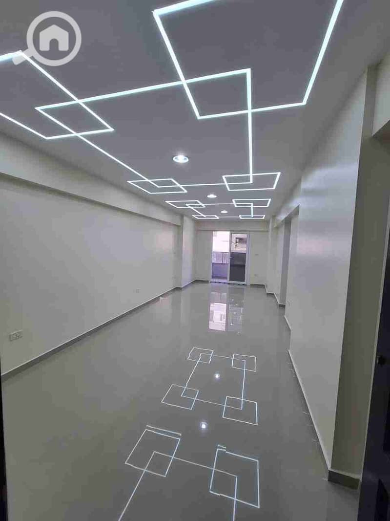 1000339151. jpg 1000339151. jpg