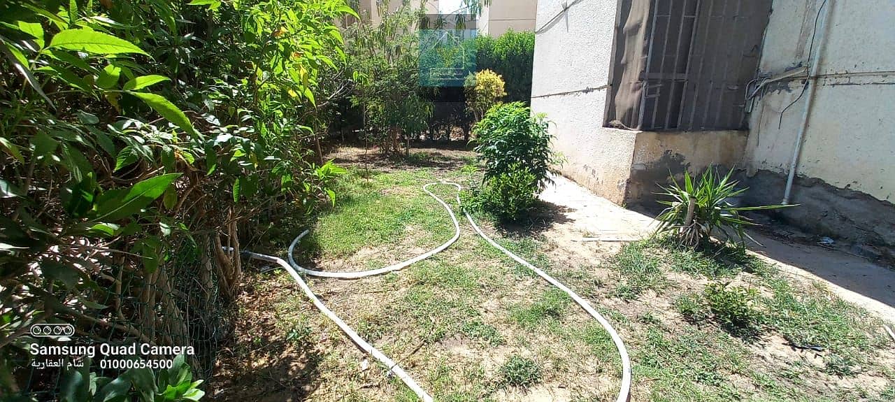 12 IMG-20250521-WA0006. jpg