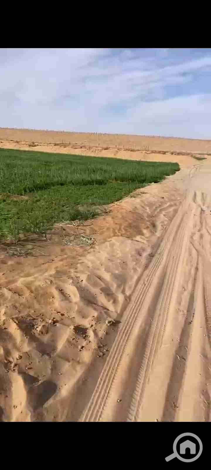 2 IMG-20251101-WA0032. jpg