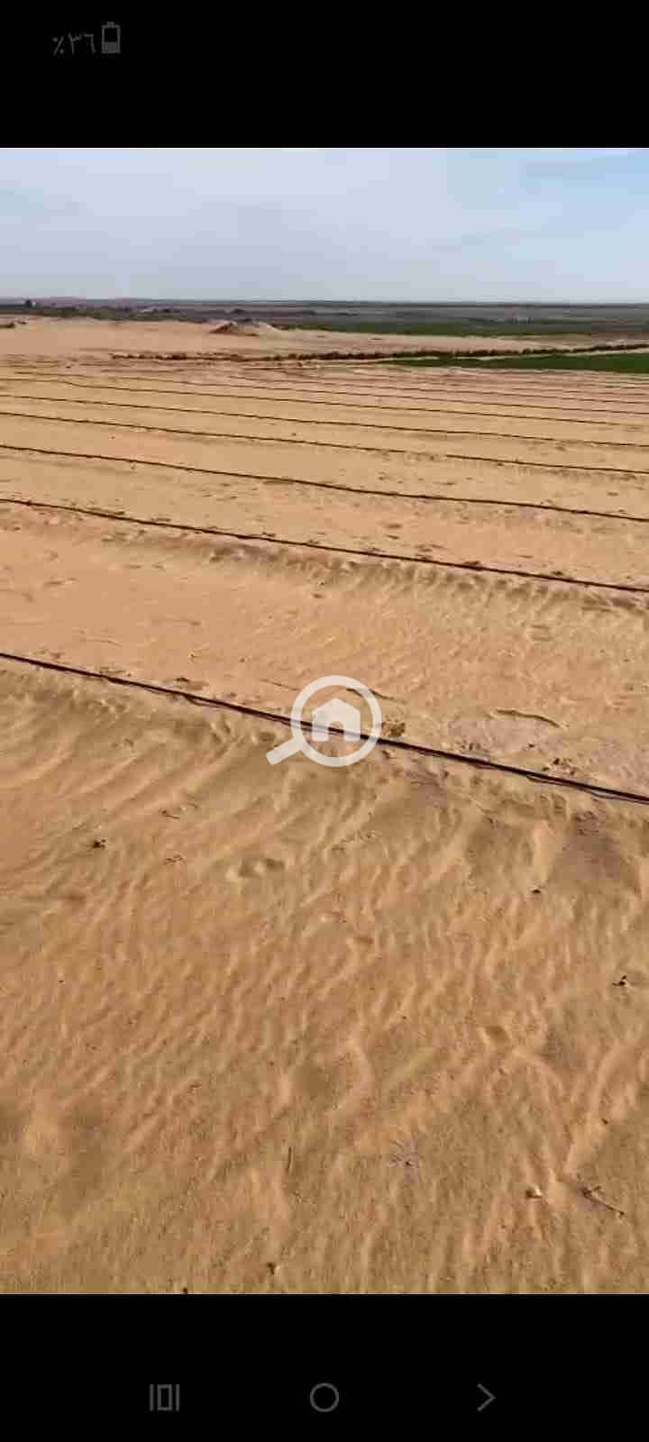 3 IMG-20251101-WA0037. jpg