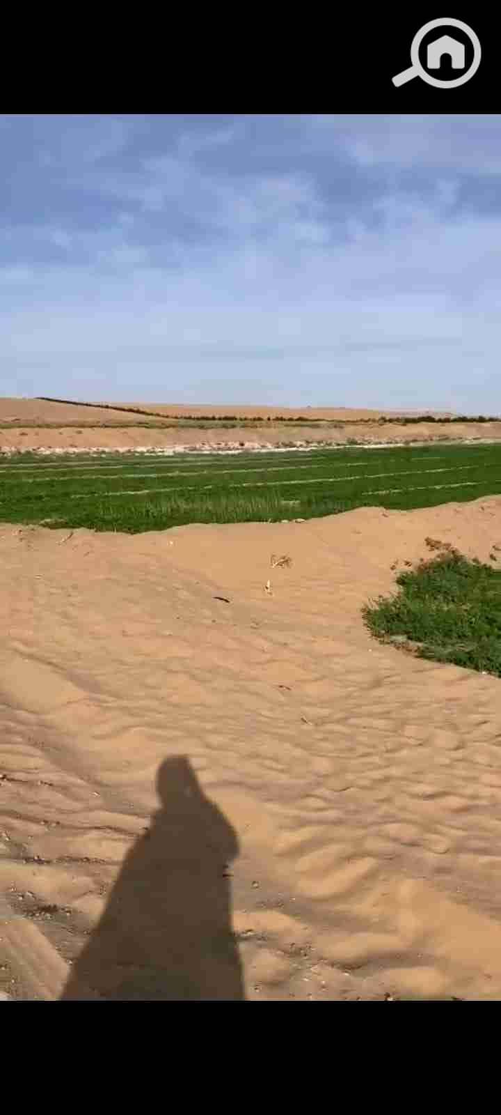 4 IMG-20251101-WA0033. jpg