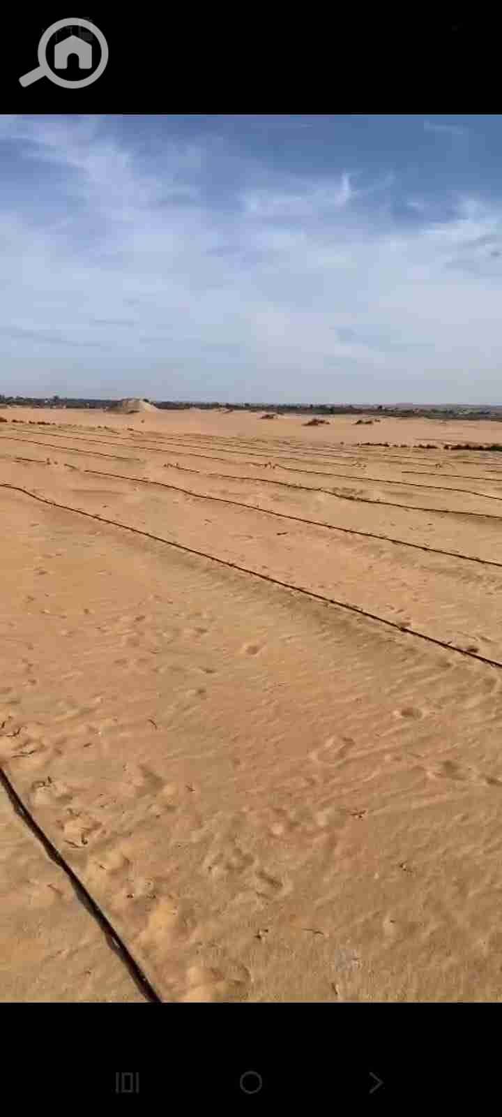 5 IMG-20251101-WA0034. jpg