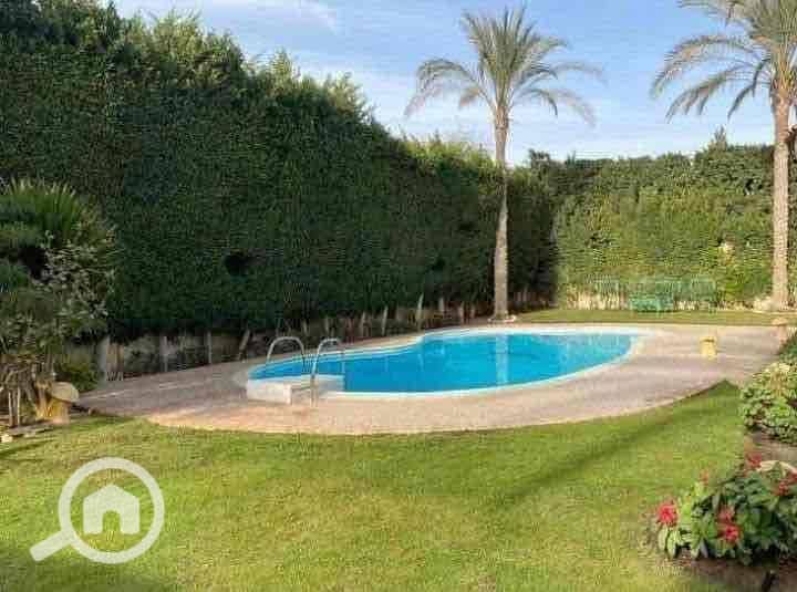 15 35f68dac-e3f5-4991-a676-d1dbda3338ec. jpg