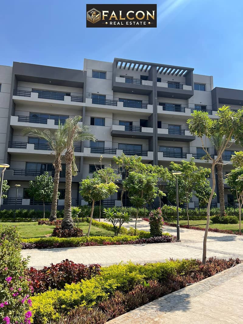 4 WhatsApp Image 2025-10-07 at 20.10. 49_3509fc6b. jpg