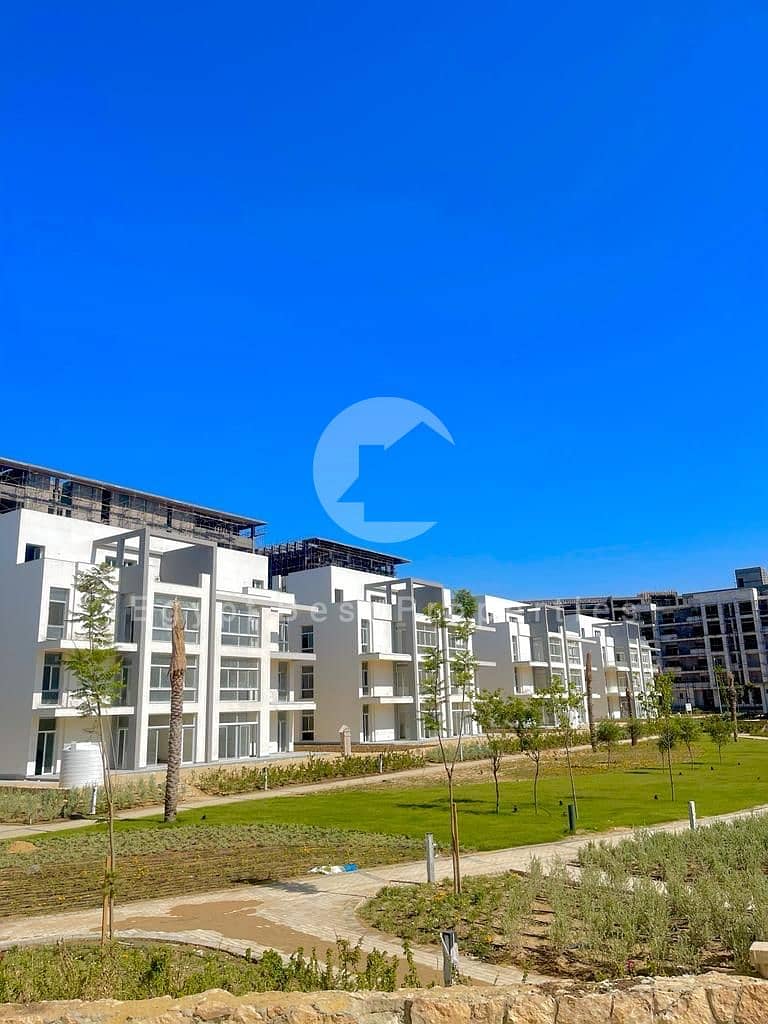 3 WhatsApp Image 2025-08-21 at 12.18. 51 AM. jpeg