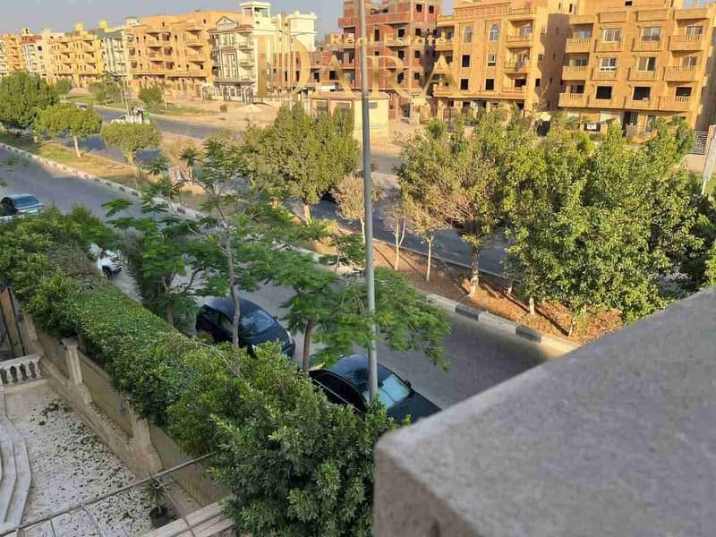 4 IMG-20251101-WA0049. jpg