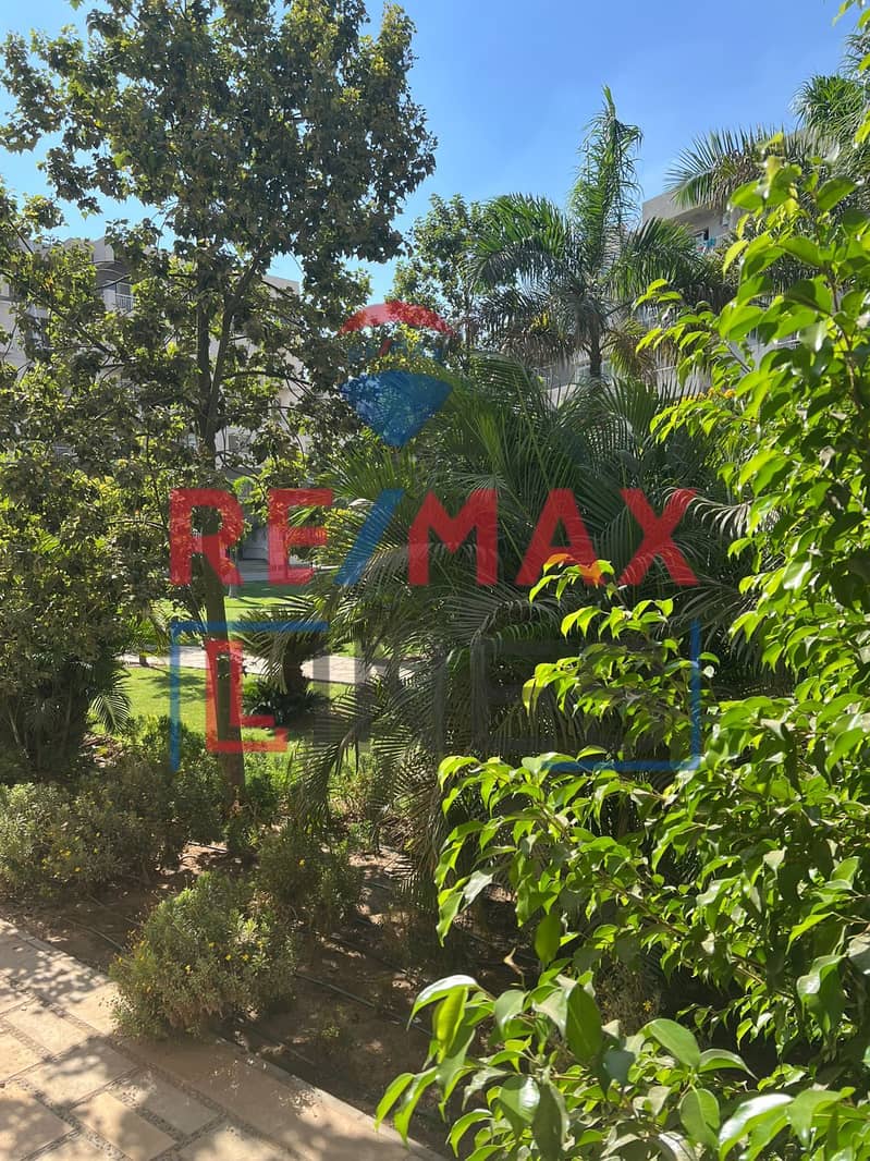 4 WhatsApp Image 2025-11-01 at 11.51. 25 AM (1). jpeg