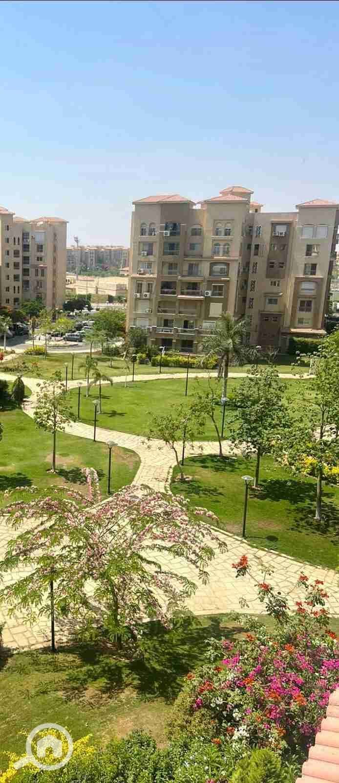 10 IMG_٢٠٢٥١١٠١_١٢٥٣٣٤. jpg