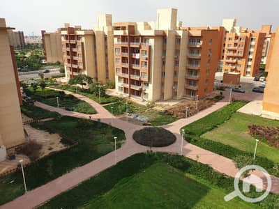 3 Bedroom Apartment for Rent in Shorouk City, Cairo - WhatsApp Image 2025-11-01 at 12.56. 35 PM. jpeg