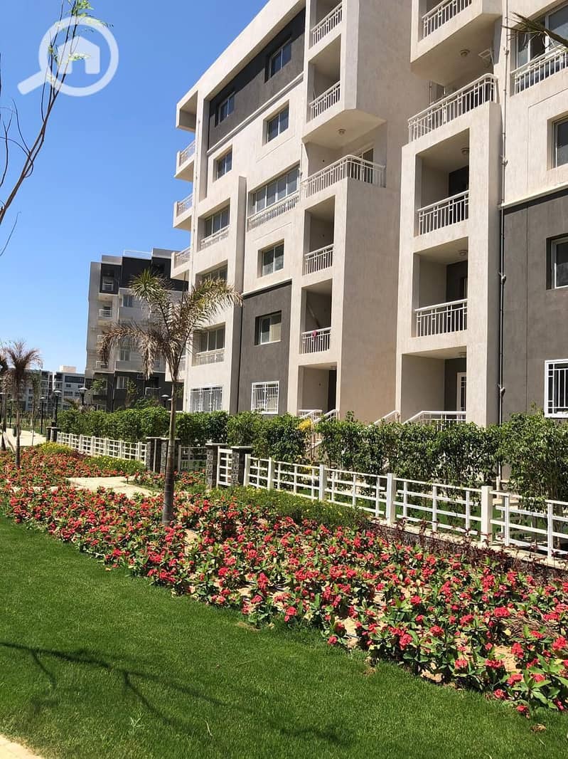 d885b249-9396-48e6-a8c1-853aeea83064. jpg