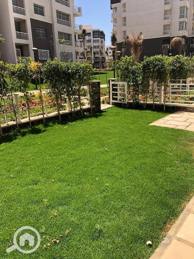 2 0c97a21b-755d-4f8c-9dd4-f222304e5eab. jpg